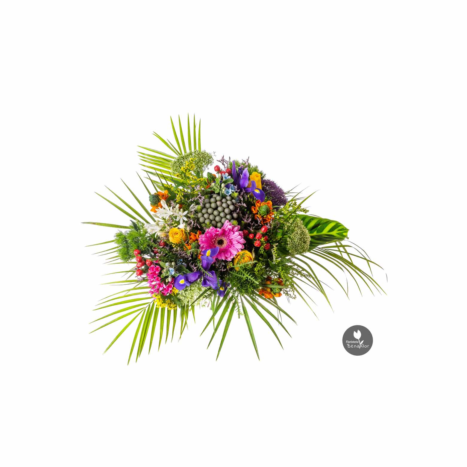 IMG_6743 comprar flores online